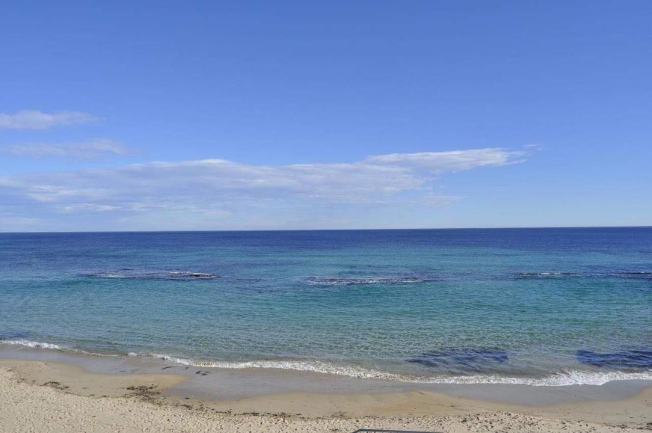 Appartement Mil Palmeras Torre de la Horadada ภายนอก รูปภาพ