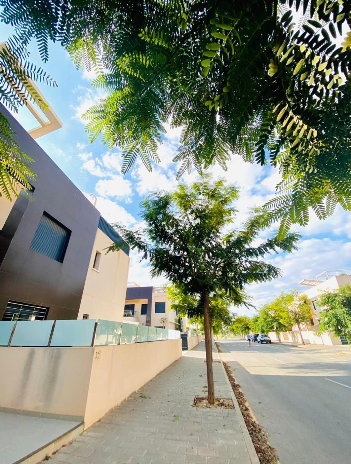 Appartement Mil Palmeras Torre de la Horadada ภายนอก รูปภาพ